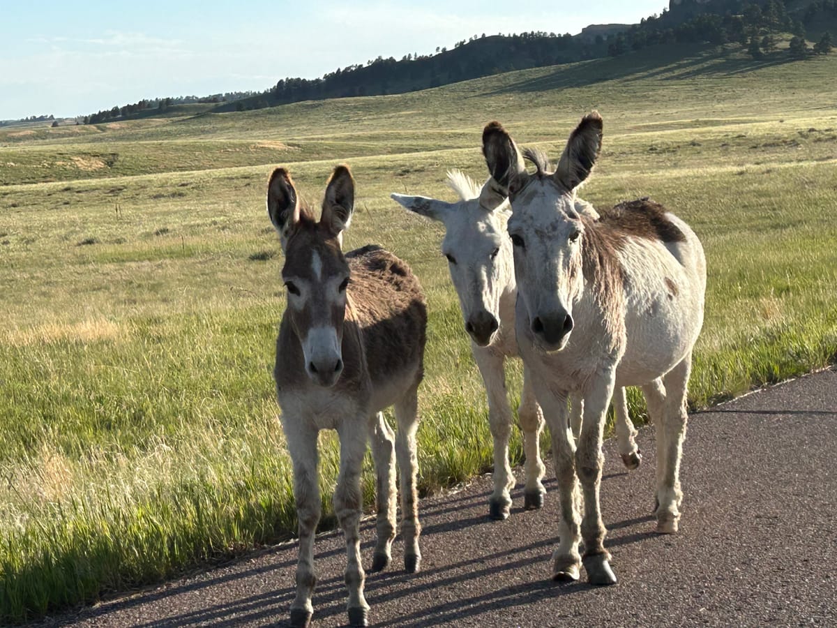 Fort Robinson, Nebraska