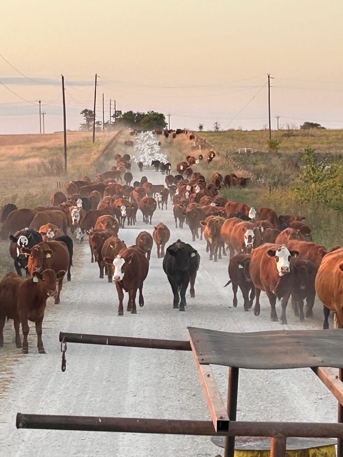 Near Decatur, Texas